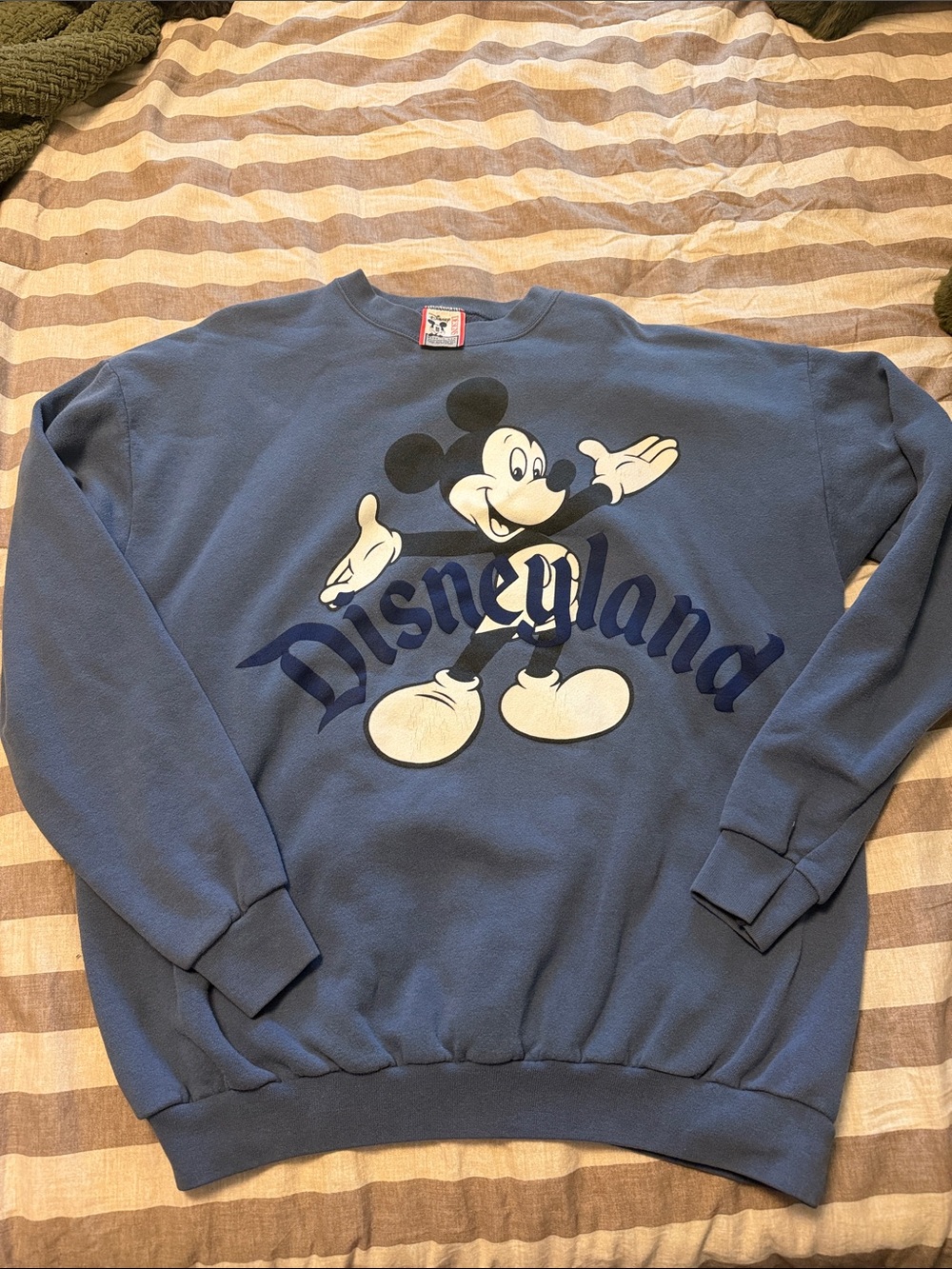 Vintage Disneyland sweatshirt